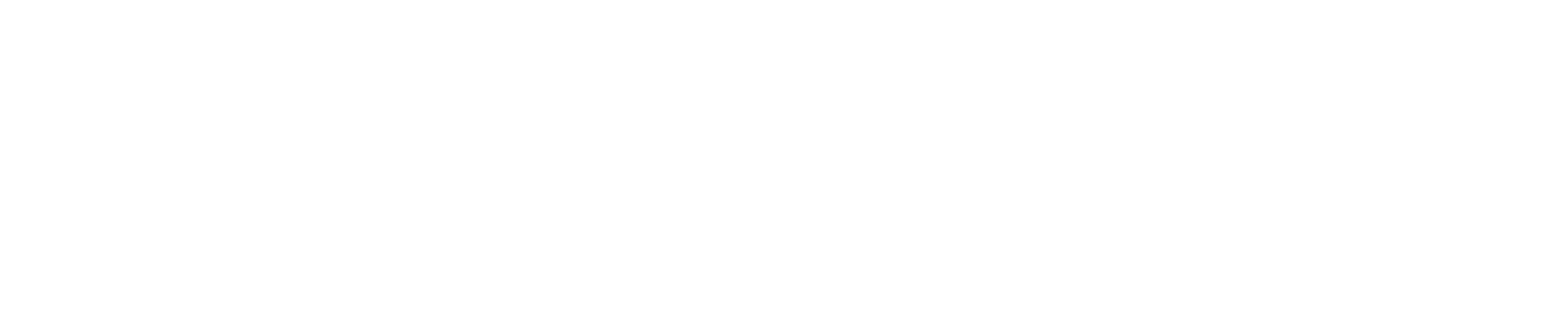 The Software Stewardship Lab logo